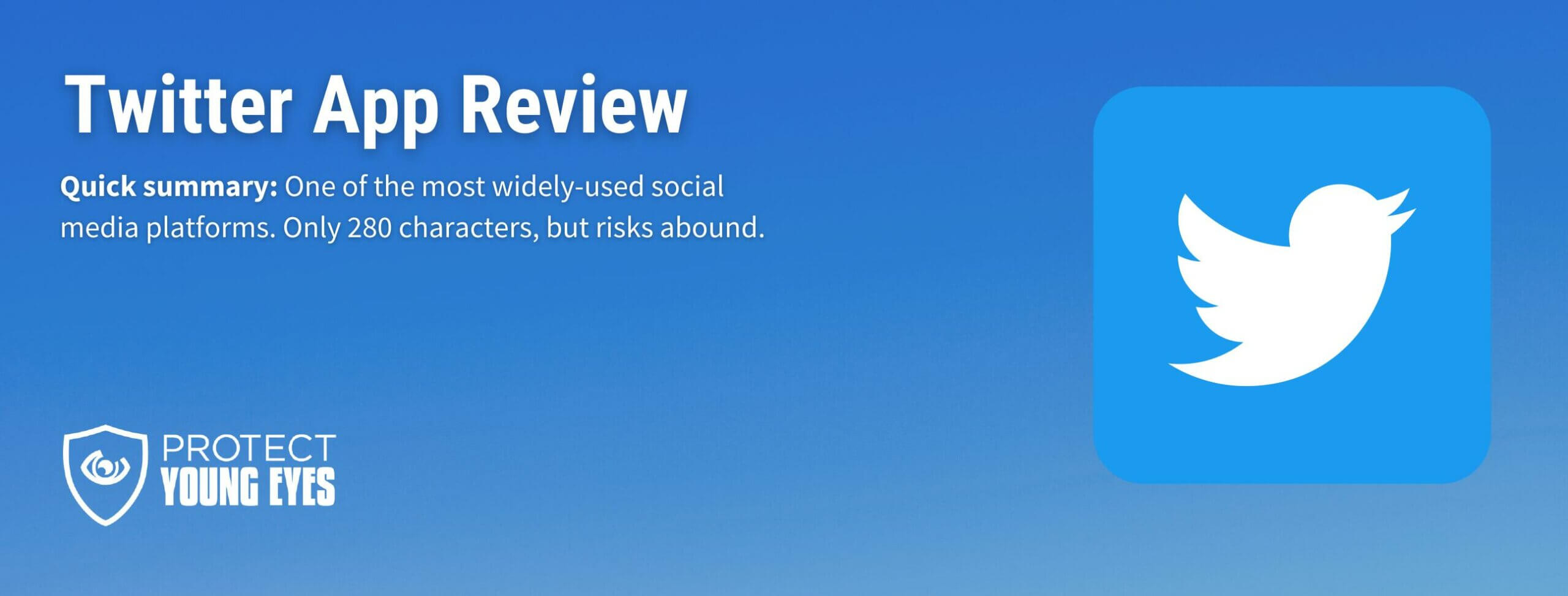 Twitter Header Image App Review PYE