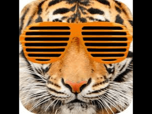 Eye Of The Tiger Roblox Id