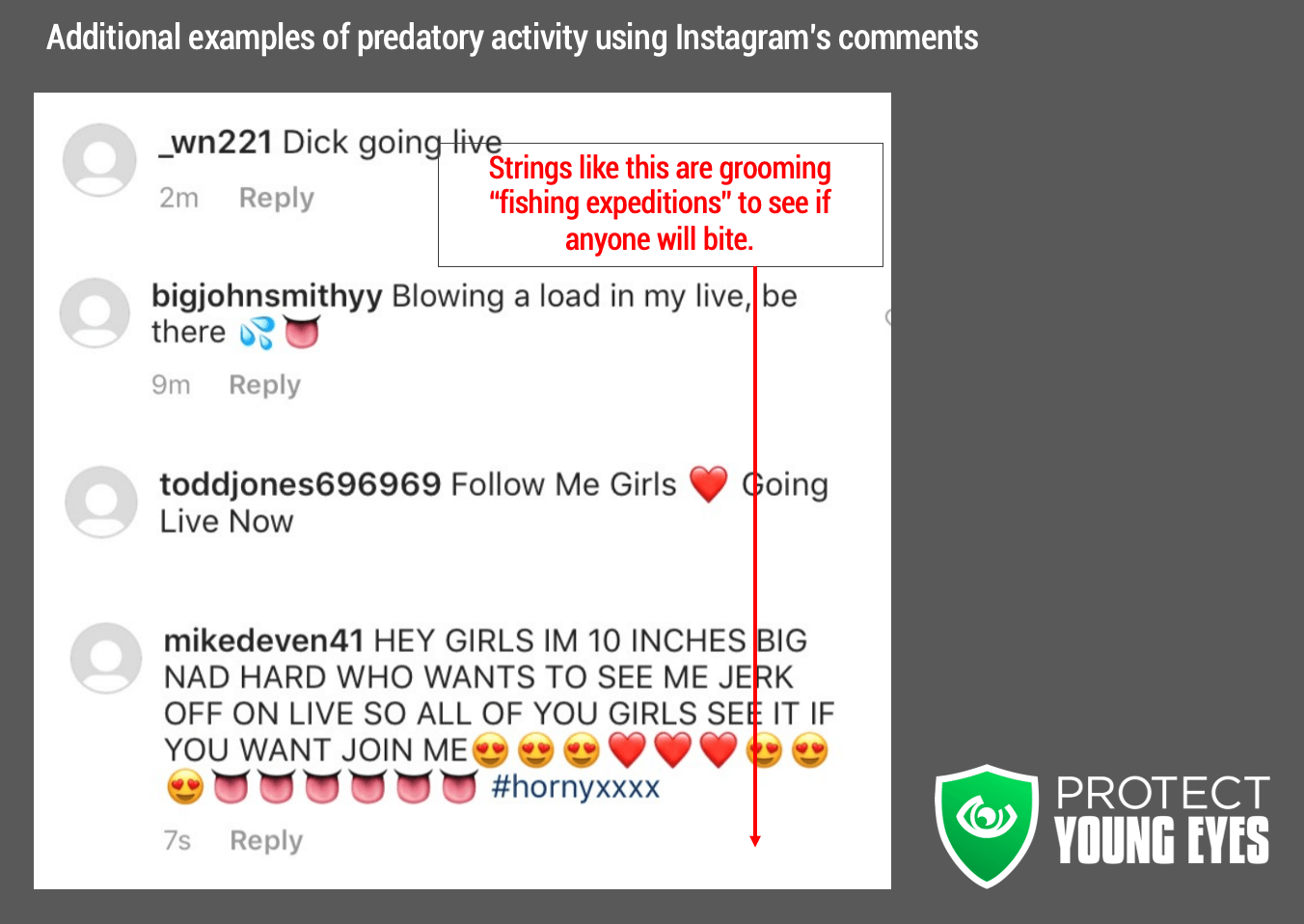 Instagram and Predators - PYE 2