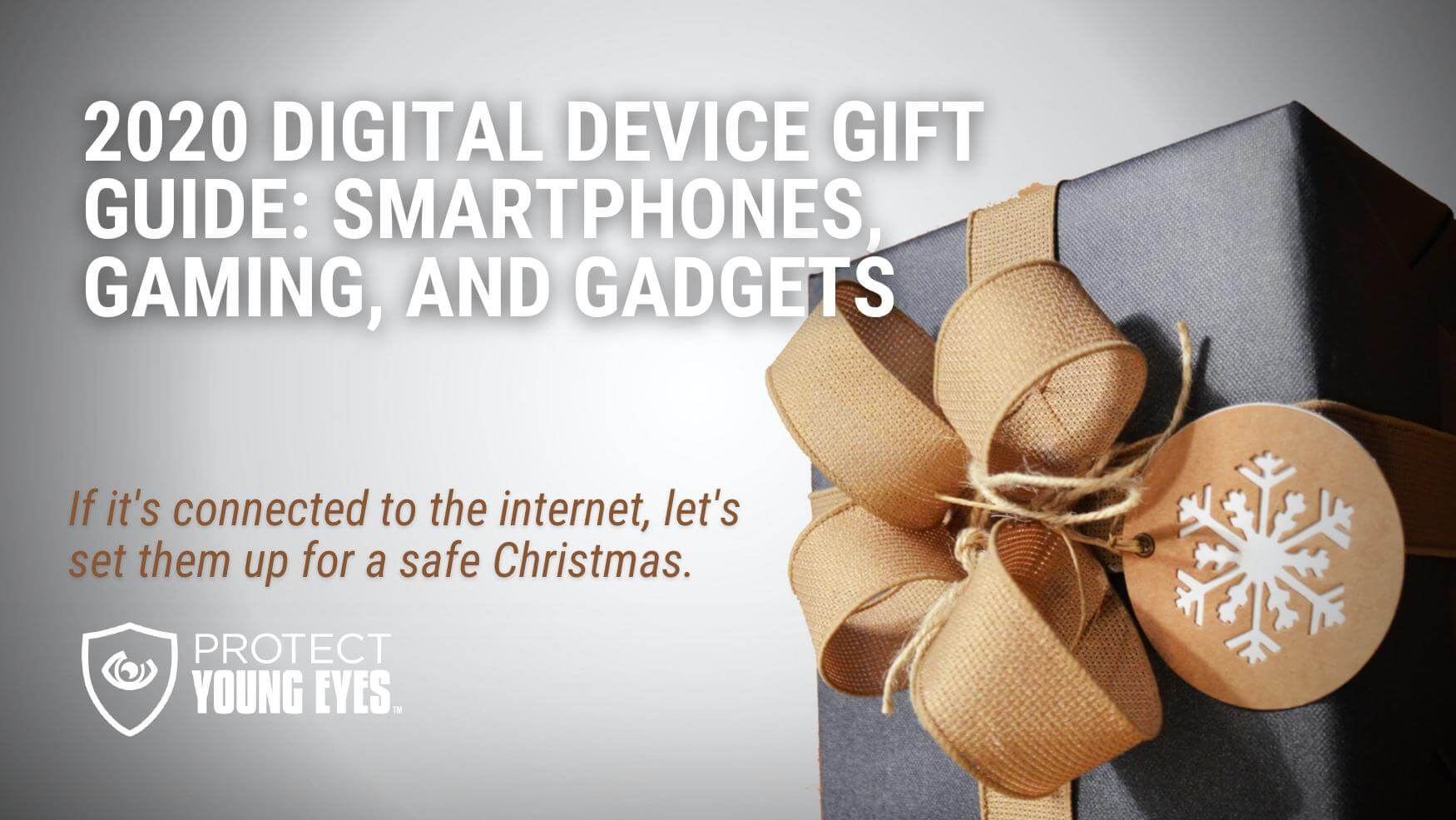 Best Gift Idea for Grandparents: Nixplay Digital Frames Review - SheSaved®